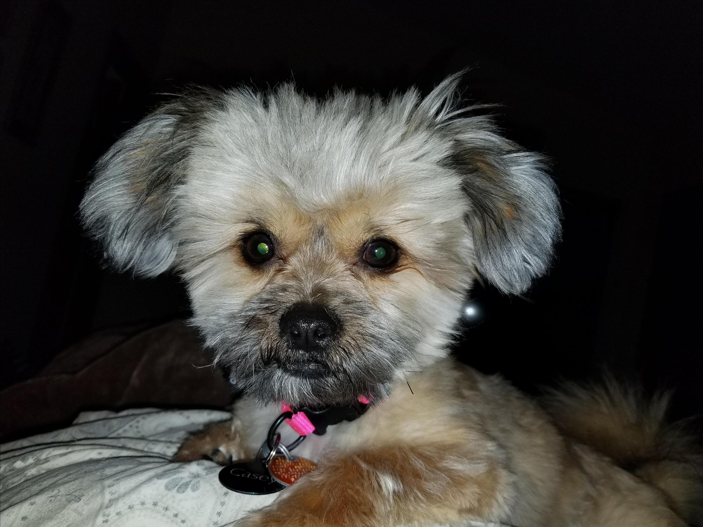 Marilyn