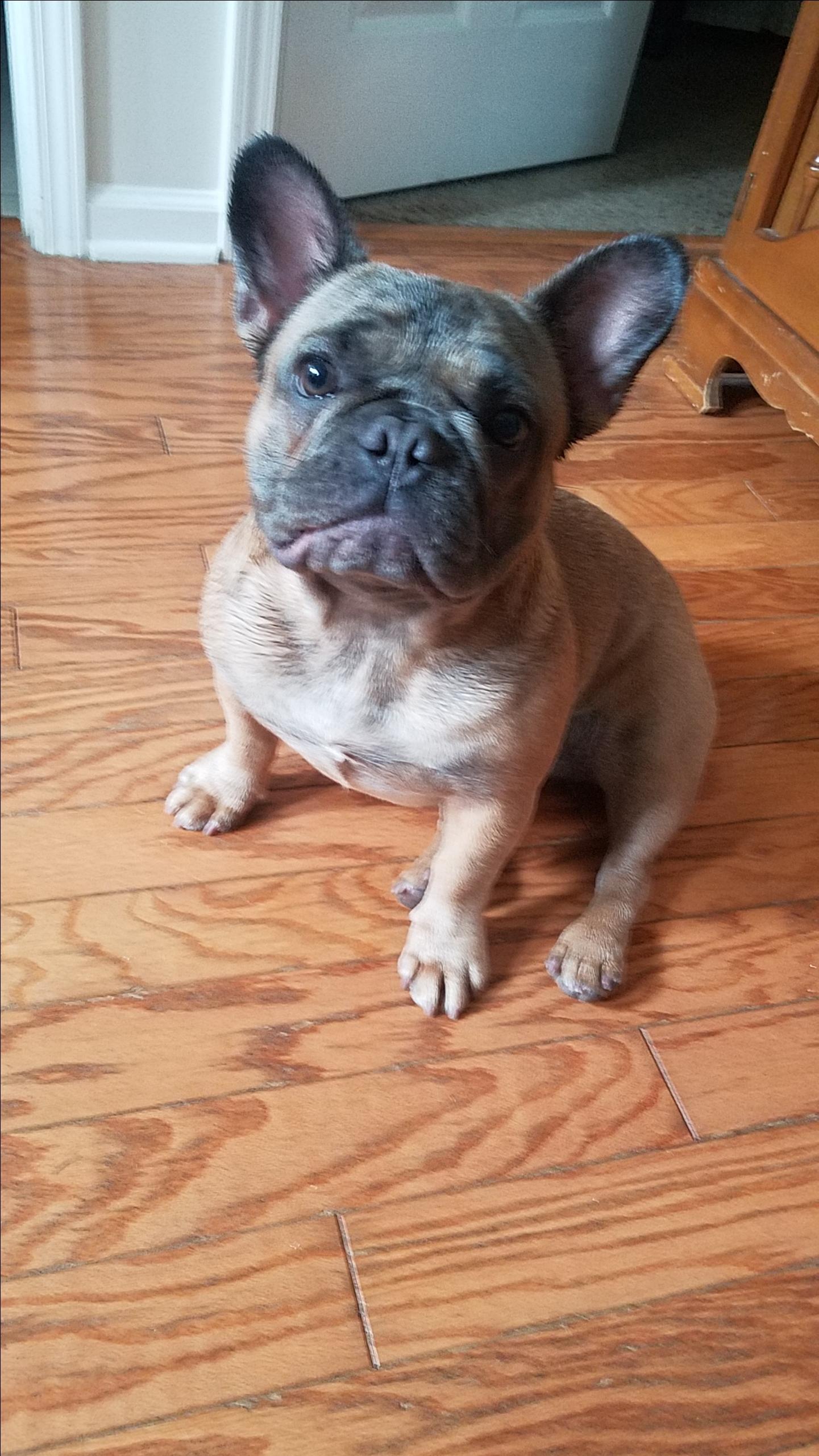 Danny