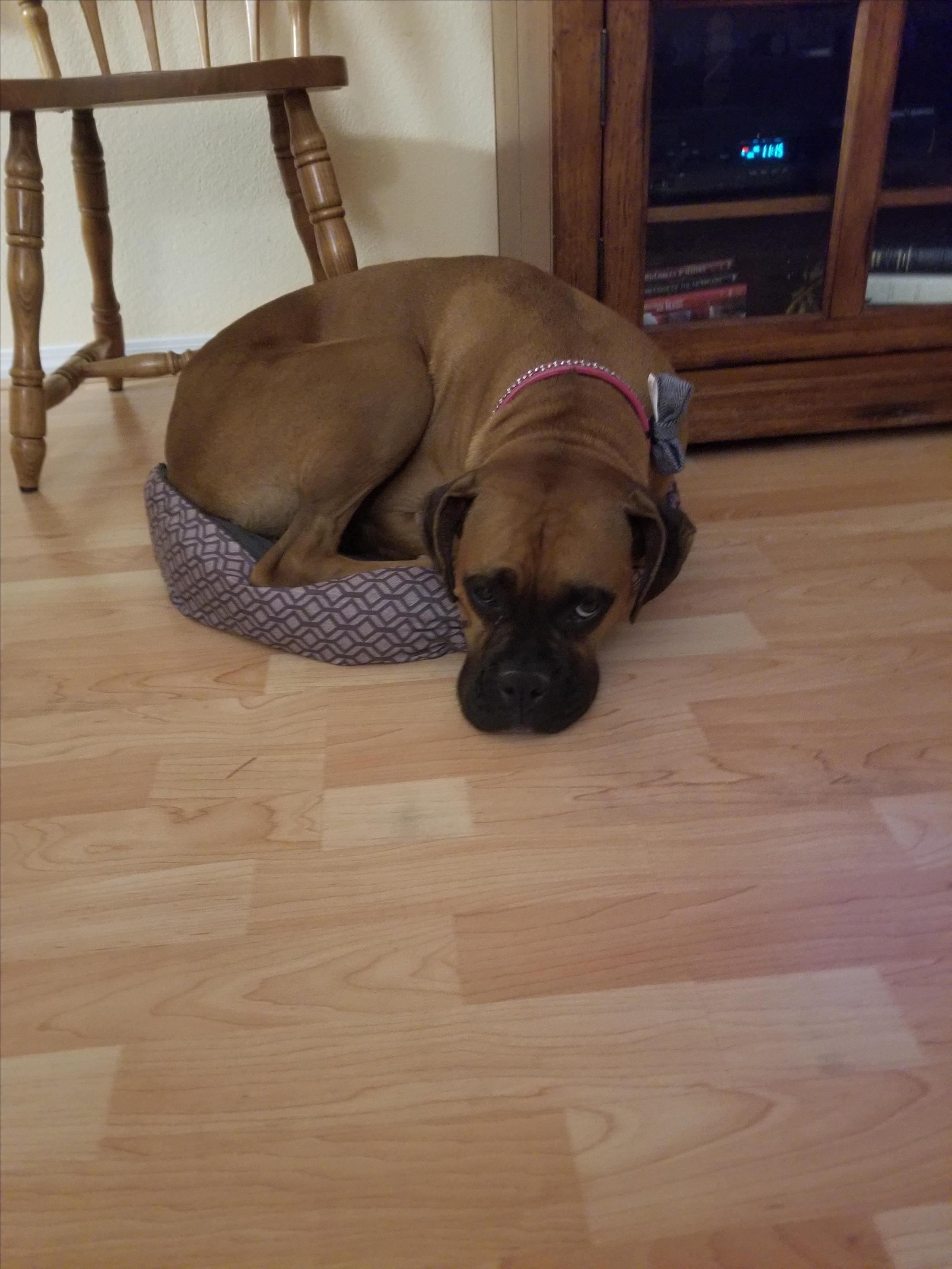Amy