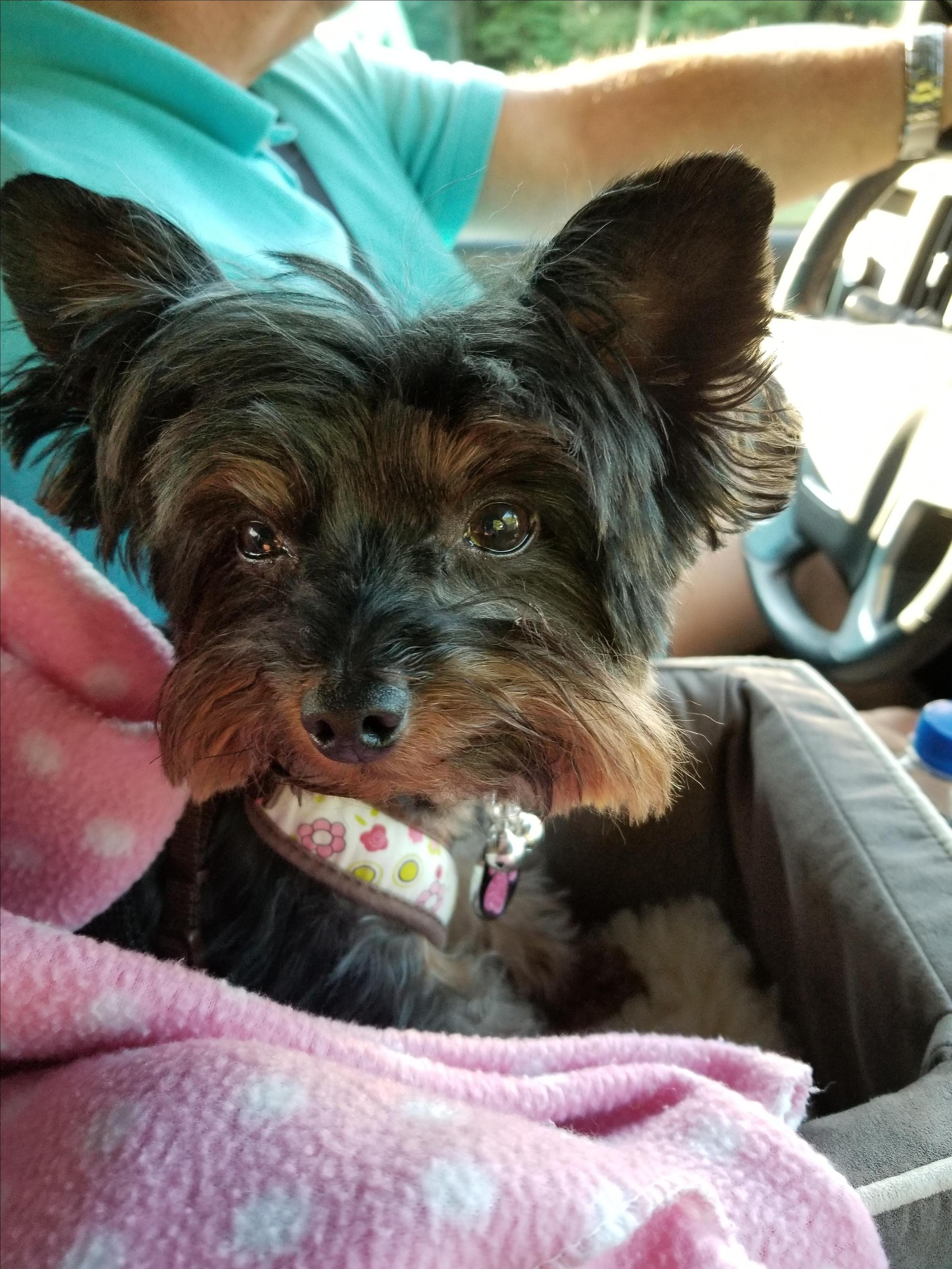 Debbie