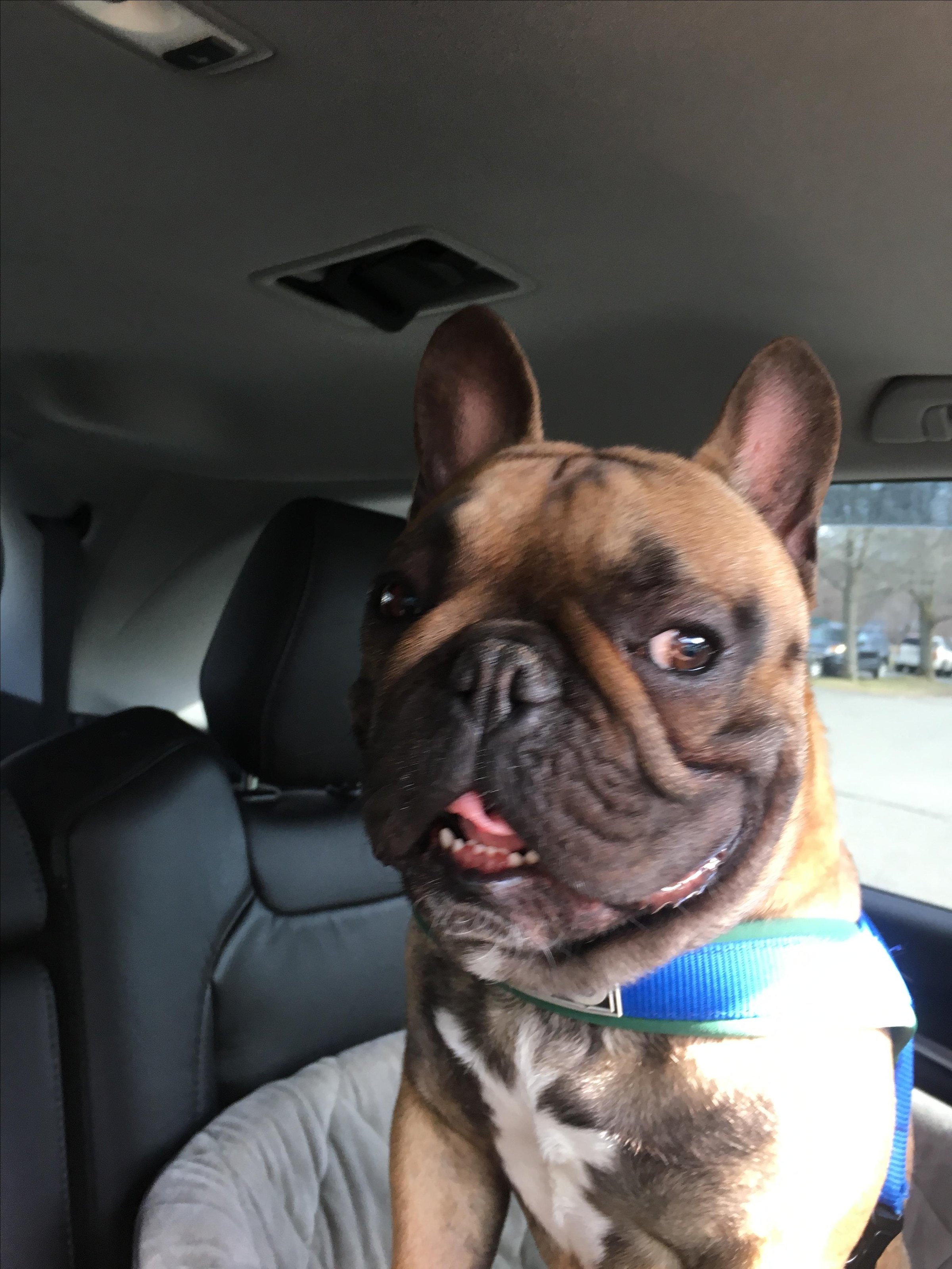 Kona