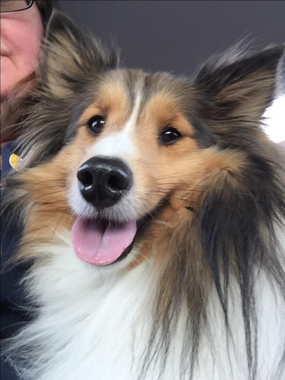 Tammy