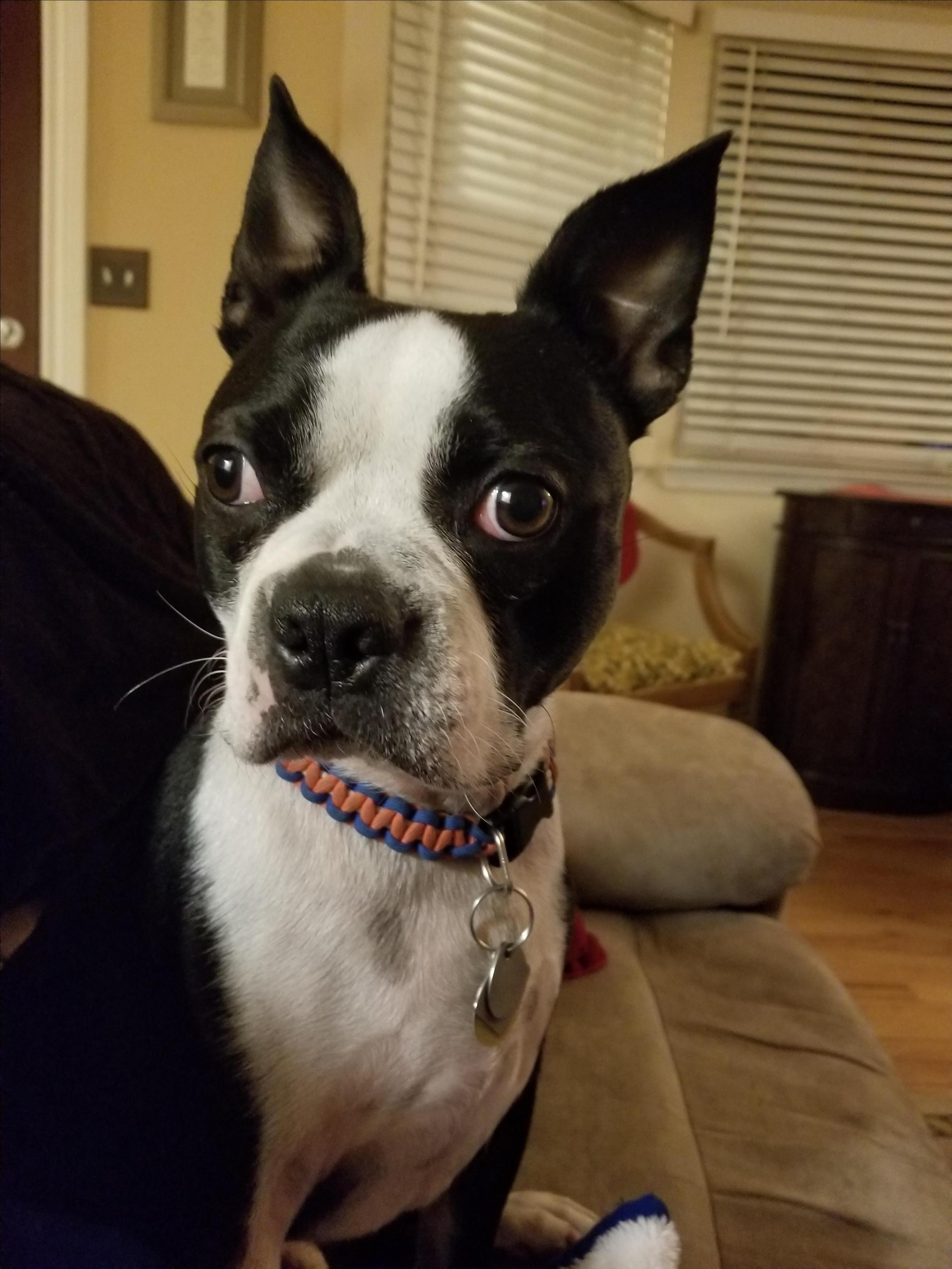 Heidi
